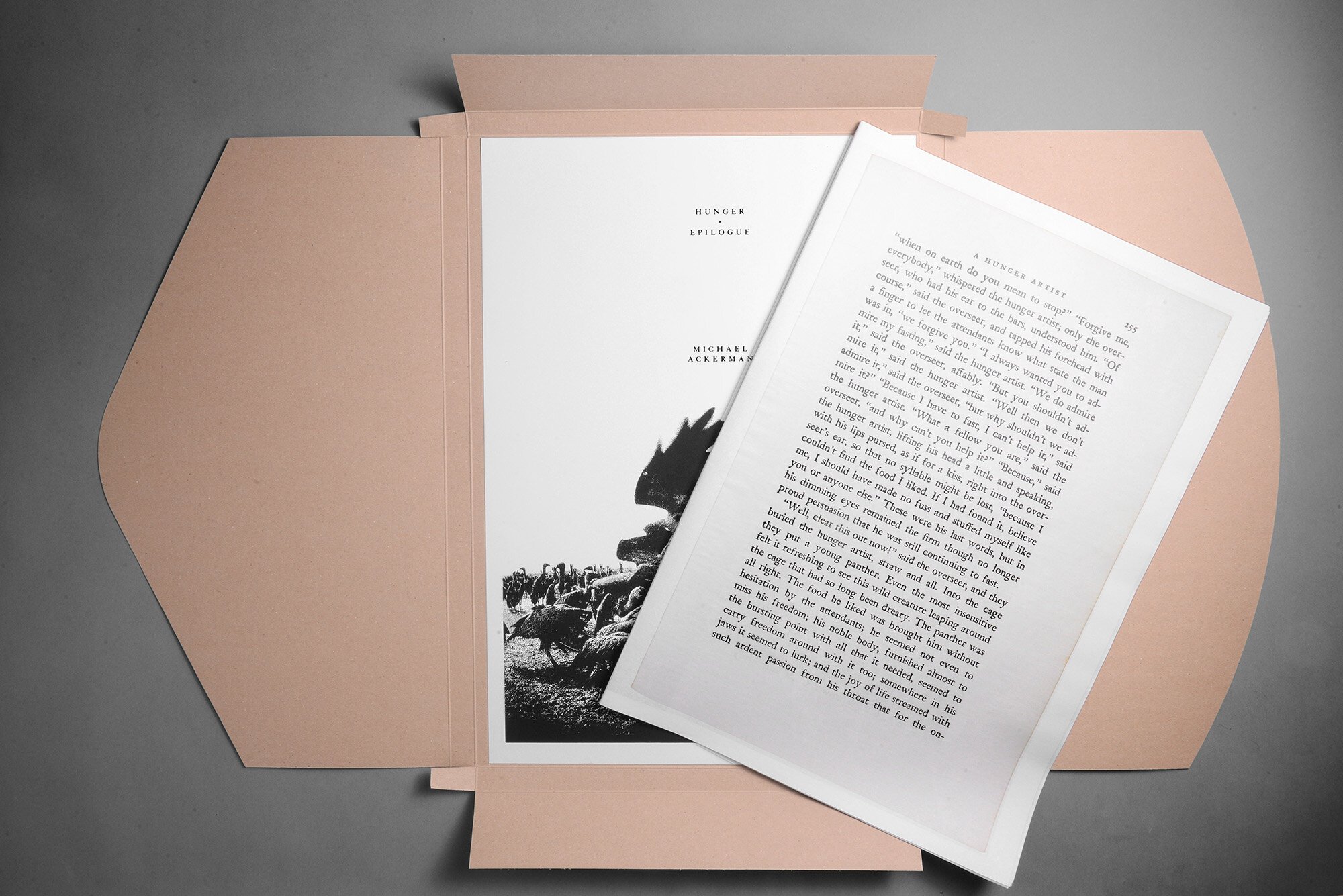 Hunger & A Hunger Artist PHOTOBOOK (After Franz Kafka) — Void